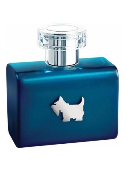 FERRIONI BLUE TERRIER 100 ML DE FERRIONI - Image 3