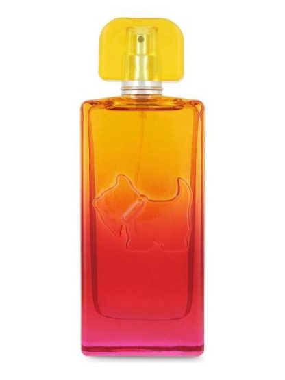 FERRIONI SUNSET VIBES MALIBU 100ML EDT SPRAY - DAMA - Image 2